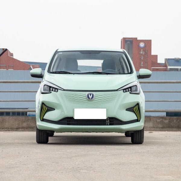 Changan Benben E-Star - Image 3