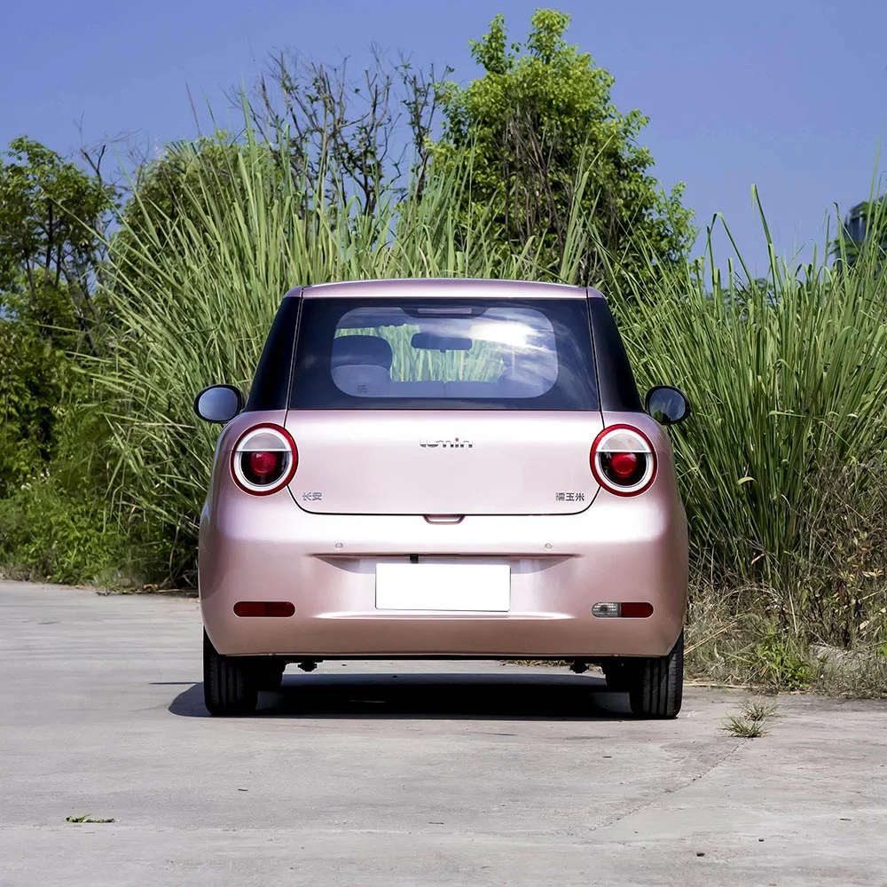 Changan Lumin - выява 6