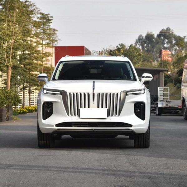 Hongqi E-HS9 - Image 3