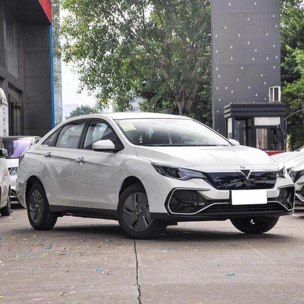 Venucia D60 EV - Image 3