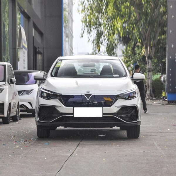 Venucia D60 EV - Image 2
