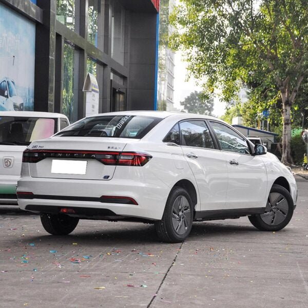 Venucia D60 EV - Image 6