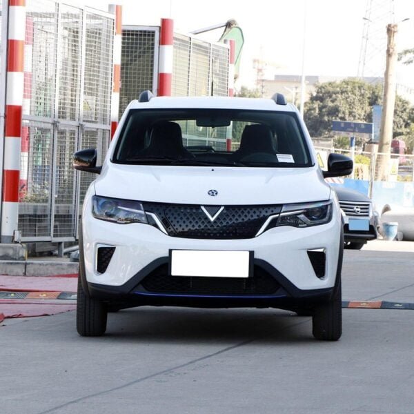 Venucia E30 - Image 2