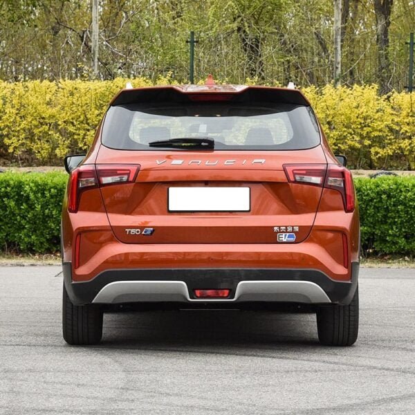Venucia T60 EV - Image 6