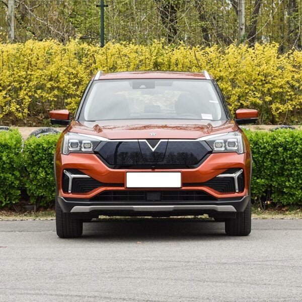 Venucia T60 EV - Image 3