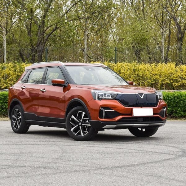 Venucia T60 EV - Image 4