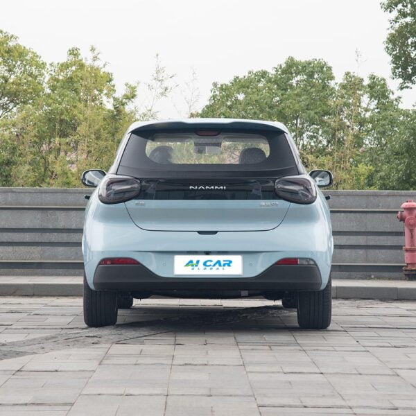 Dongfeng Nammi 01 - Image 6