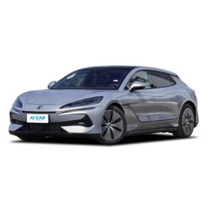 Denza Z9GT DM