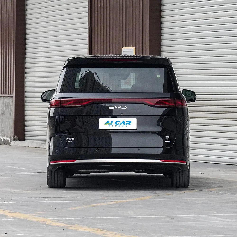 BYD Xia - Image 6