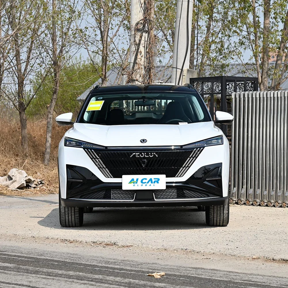 Dongfeng Aeolus Mage - выява 3