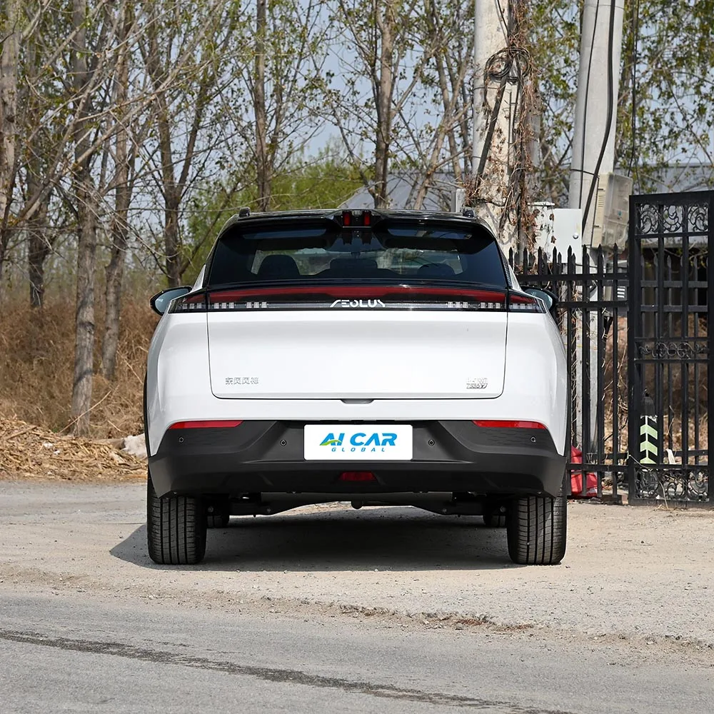 Dongfeng Aeolus Mage - выява 6