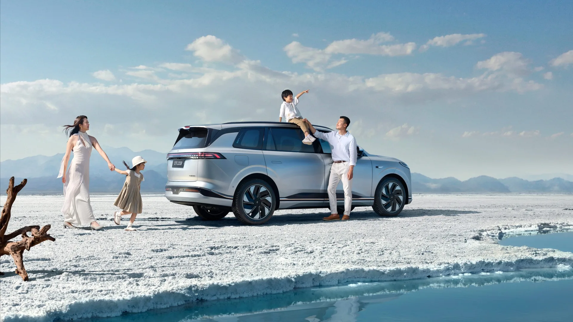 Dongfeng eπ008 (24)