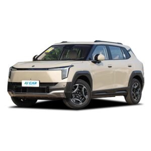 Dongfeng Nammi 06