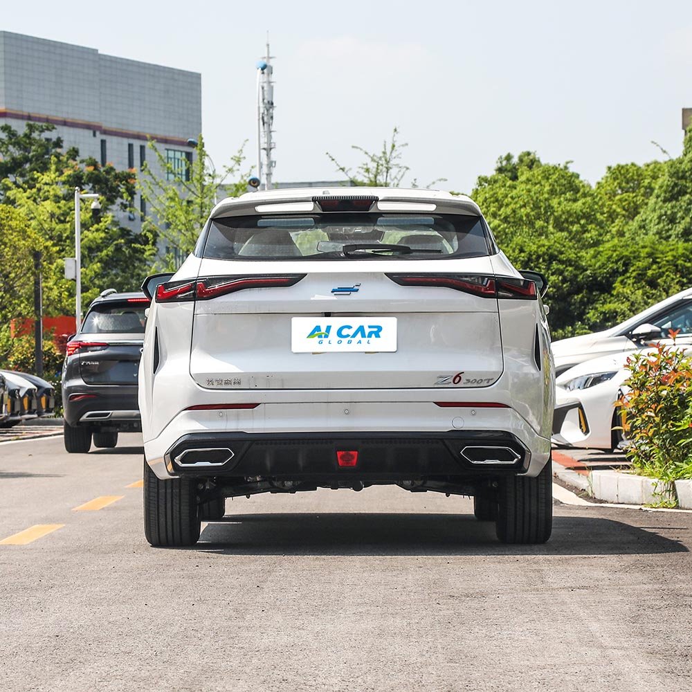 Changan Oshan Z6 - Image 6