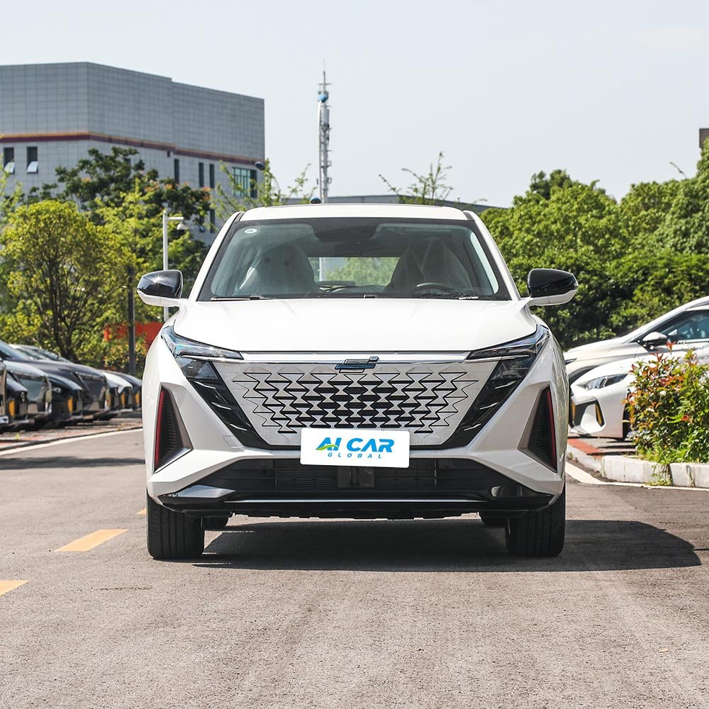 Changan Oshan Z6 - Image 3