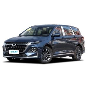 Wuling Victory