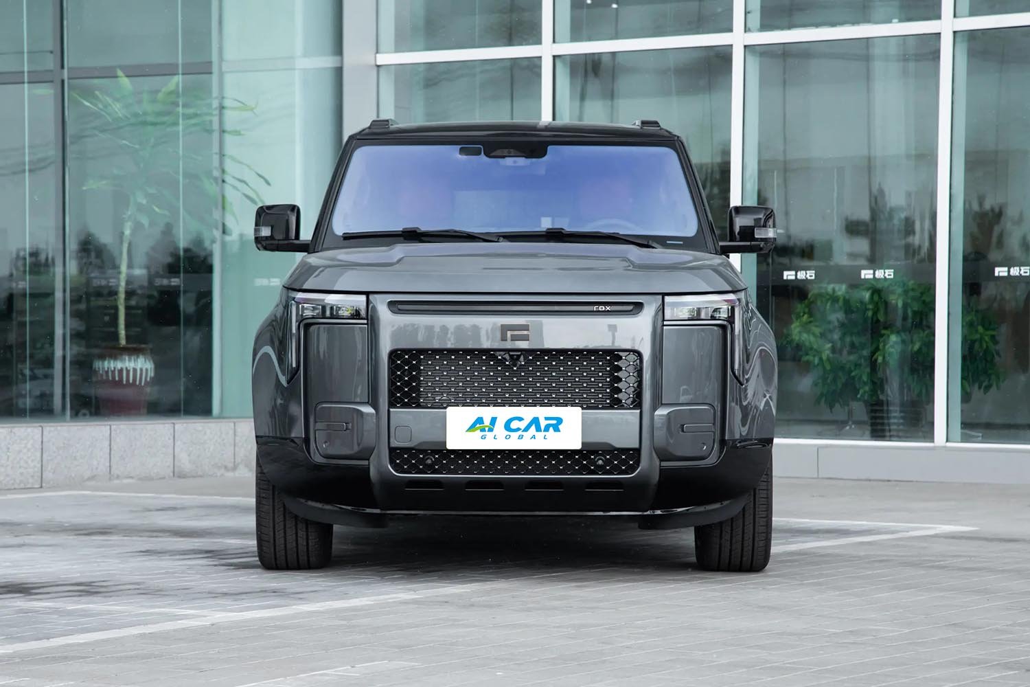 ROX ADAMAS - Image 3