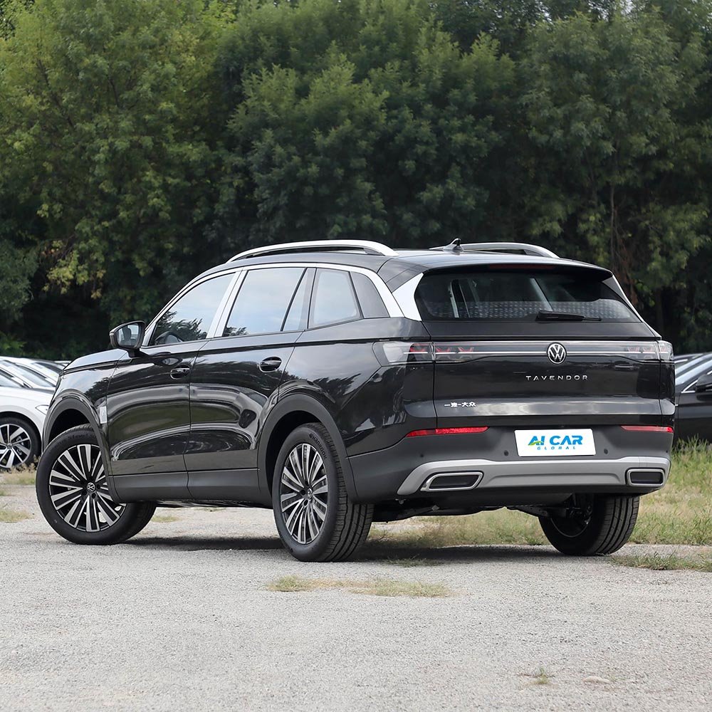 Volkswagen Tavendor - Image 5