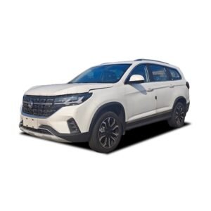 Dongfeng Forthing T5L