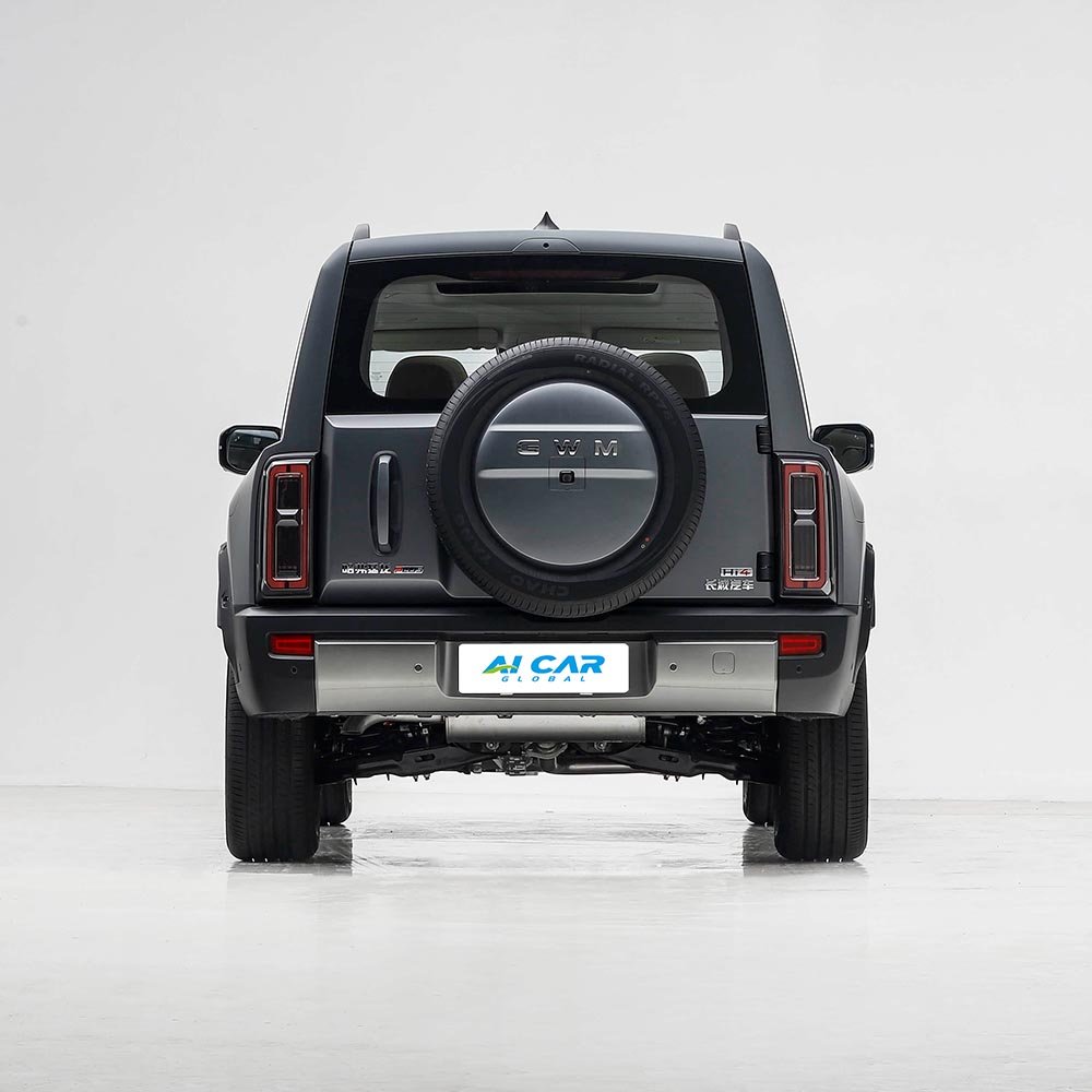 Haval Raptor Plus - Image 6