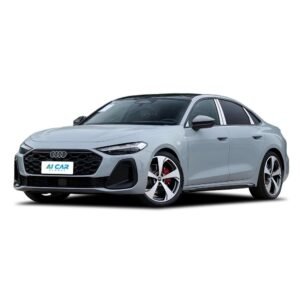 Audi A5L