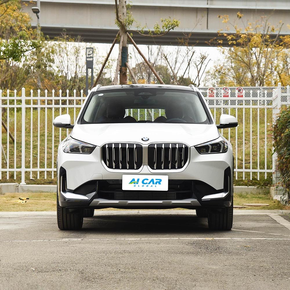 BMW X1 - Image 2