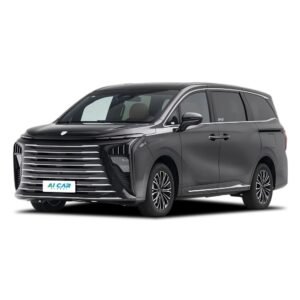 Dongfeng Forthing Xinghai V9