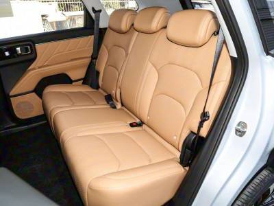 Wuling Starlight 560 Details (13)