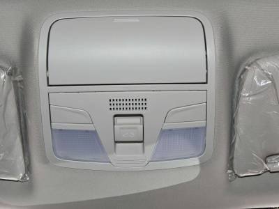 FAW Senia Details (14)