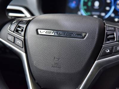 Venucia T60EV Details (11)