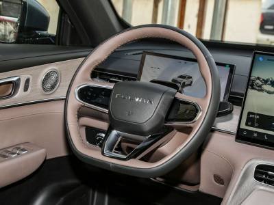 Chery Fulwin T8 Details (8)