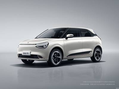 Dongfeng Nammi 01 Details (7)