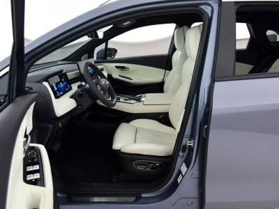 Aion LX Auto Details (2)