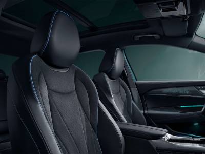 VW Passat Details (1)