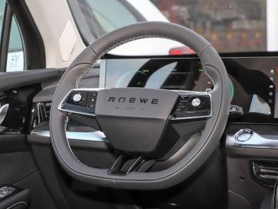 ROEWE RX5 MAX Details (1)