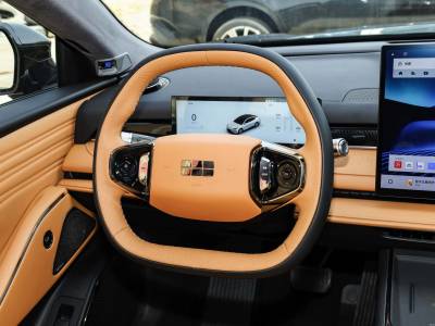 Geely Starshine 8 Details (1)