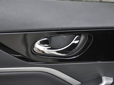 Venucia D60EV Details (3)