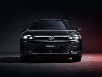 VW Passat Details (10)