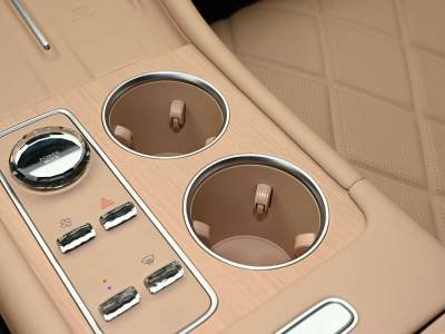 Chery Fulwin T11 Details (1)