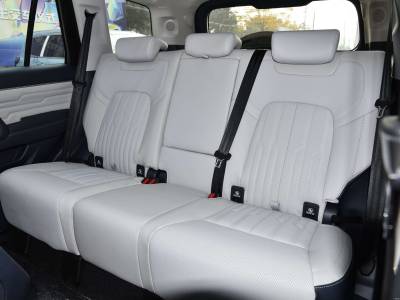 Beijing BJ60 Details (14)