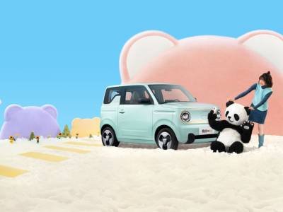 Geely Panda Details (16)