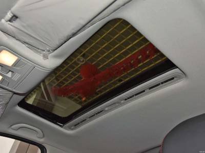 FAW Senia Details (1)