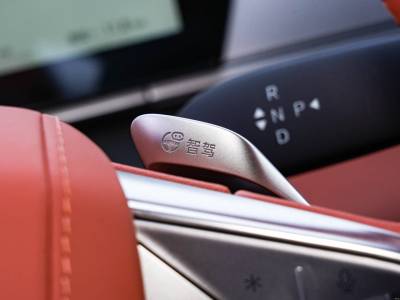 BYD Tang L EV Details (1)