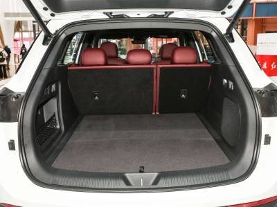 Hongqi HS6 PHEV Details (11)