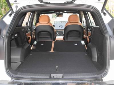 Geely Starray Details (6)