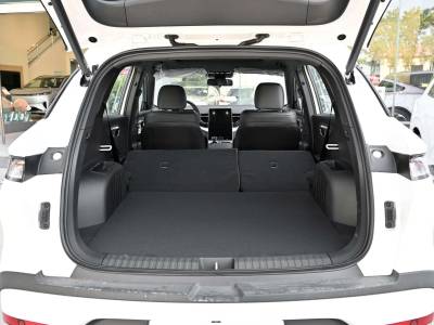 Bestune T90 Details (13)