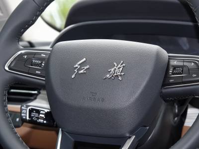 Hongqi E-QM5 Details (4)