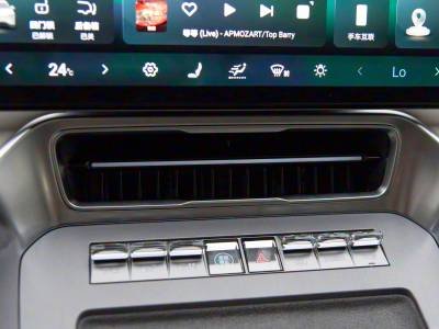 Denza N8L Details (3)