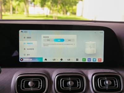 Chery Fengyun T10 Details (11)