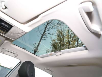 Volkswagen Golf Details (8)